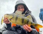 RenzStein Beastly Minnow RenzStein Beastly Minnow